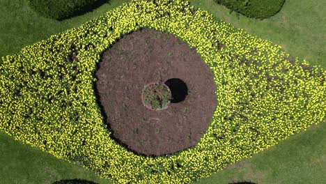 Toma-Ascendente-De-Drones-De-Hermosa-Hierba-Y-Jardín-De-Flores-En-La-Forma-Y-Los-Colores-De-La-Bandera-Brasileña