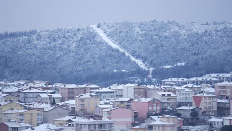snowy town landscape with a hill