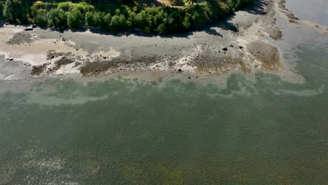 Luftaufnahme-Des-Ufers-Bei-Ebbe-Auf-Whidbey-Island