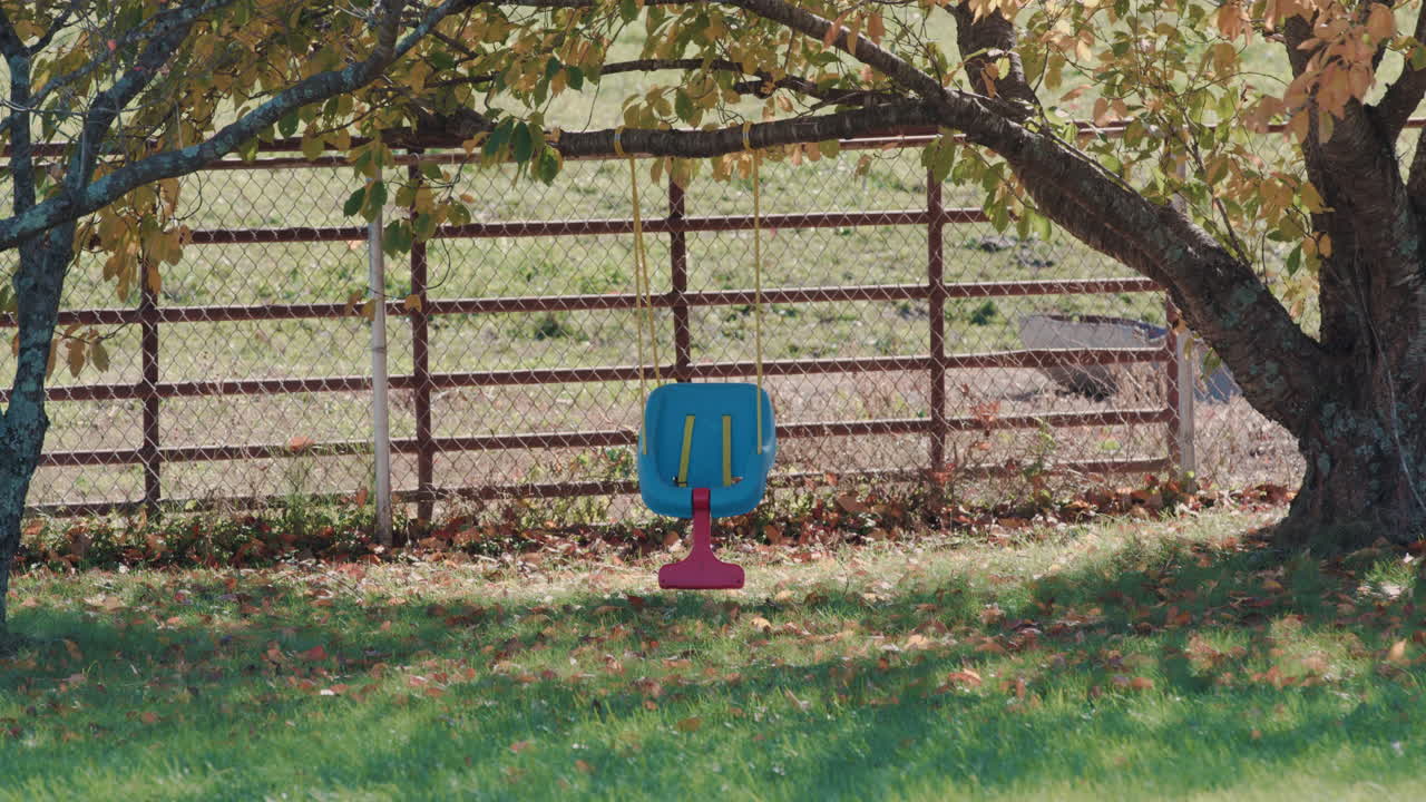 Children's swing hanging from tree