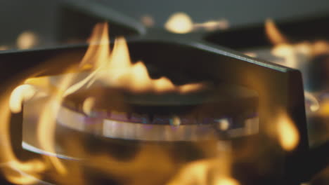 gas stove burner