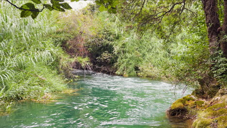 Ein-Wunderschöner-Blaugrüner-Fluss-Fließt-Durch-üppige-Feuchtgebiete-Im-Krka-Nationalpark