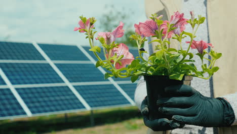 Mujer-Sostiene-Maceta-Con-Flor-En-Frente-De-La-Planta-De-Energía-Solar-En-Casa