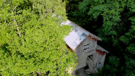 Imágenes-Aéreas-Descendentes-De-Un-Antiguo-Albergue-De-Madera-Abandonado,-Todo-Rodeado-De-árboles-Altos-En-Medio-De-Un-Exuberante-Bosque-Verde