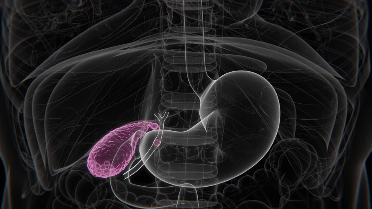 Normal to Cholecystitis Indication X-Ray Video | Gallbladder Infection indication in Vertical HD X-Ray Video