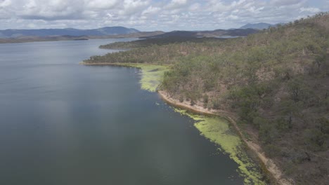 algas verdes en el borde del parque junto a la presa quaids, lago mitchell en qld, australia