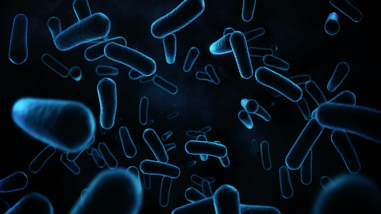 células de bacterias generadas digitalmente que fluyen contra un fondo negro