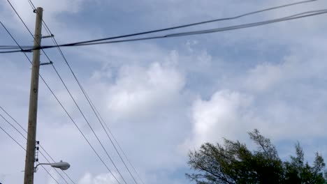 Driving-under-trees-and-power-lines-in-slow-motion