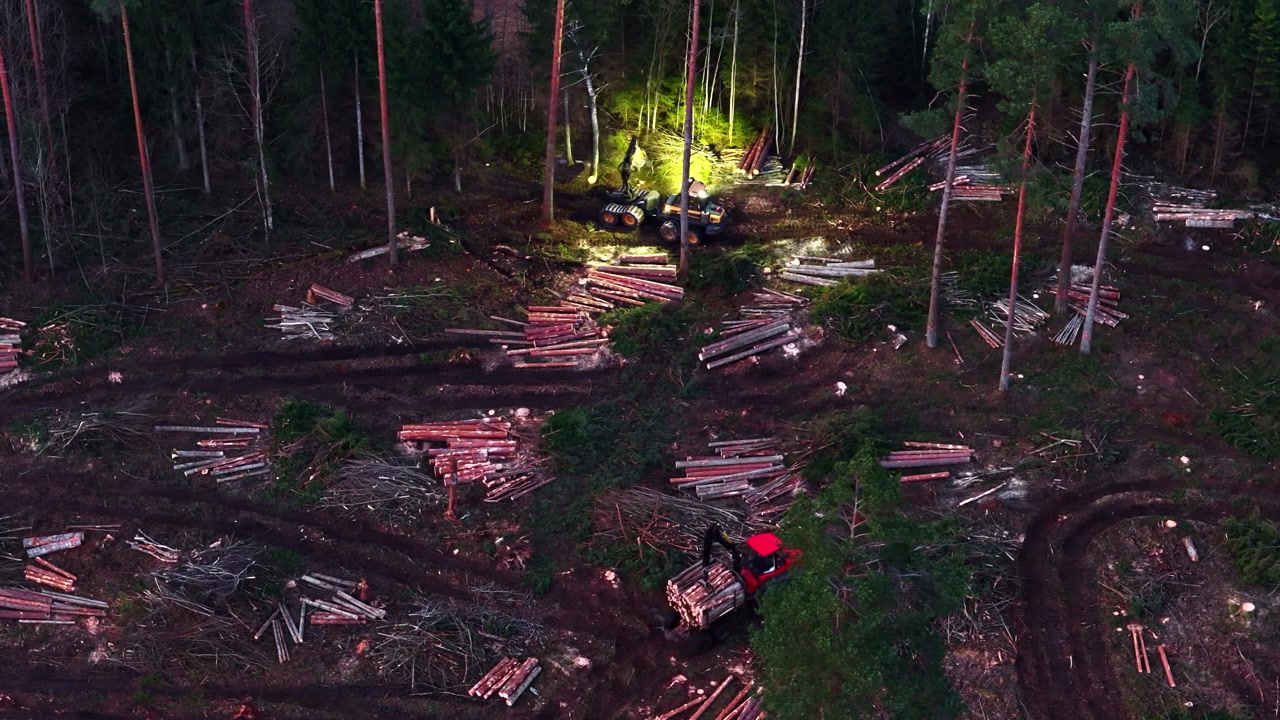 Harvester and forwarder working at night during clearcutting deforestation process