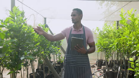 gardener with tablet inspecting plants in greenhouse, ensuring healthy growth