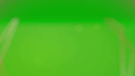 floral green screen background
