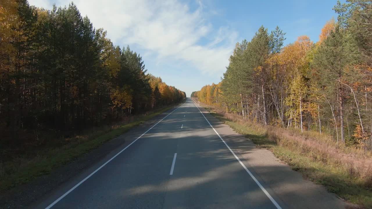 Vista aerea di una strada rurale rettilinea che attraversa un bosco autunnale dorato sotto un cielo blu, Oblast di Sverdlovsk, Russia.