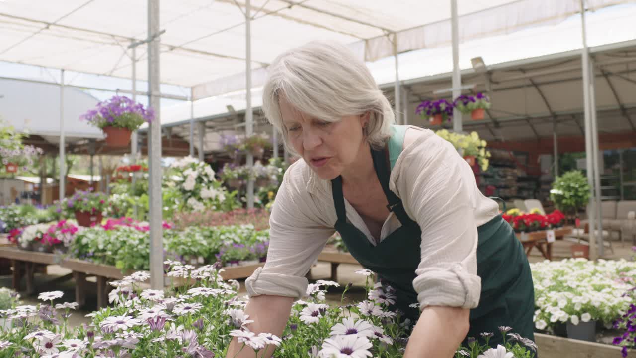 Woman tending to flowers in greenhouse