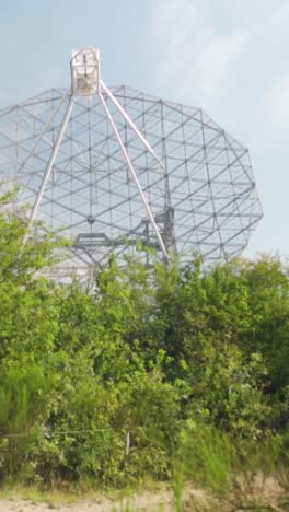 large radio telescope amidst trees