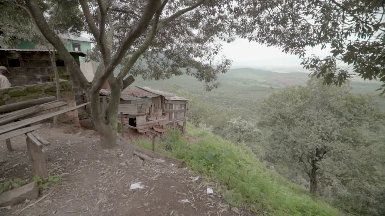 pan right showcasing forest and greenery in valley from view point with wooden house on the view point