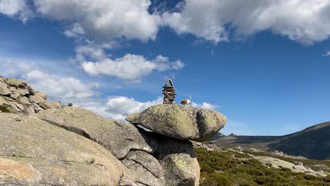 Filming-of-an-area-of-granite-rock-in-a-mountain-landscape-where-there-is-a-milestone-formed-with-stones-on-a-rock-and-topped-with-a-point,-shortly-after-a-white-and-brown-Jack-Russell-dog-appears