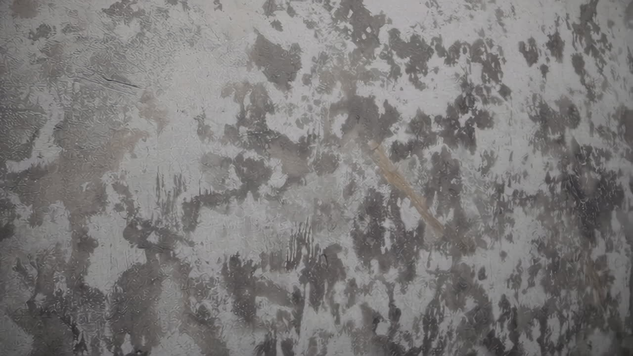 Gray Concrete Wall Texture