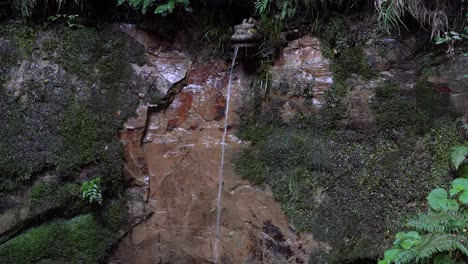 Close-up-of-beautiful-dragon-water-fountain-inside-forest