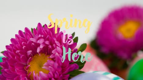 animation of flowers at easter and spring is here text