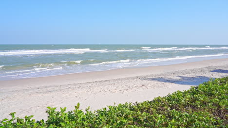 a brisk tropical breeze sweeps white-capped waves onto the beach