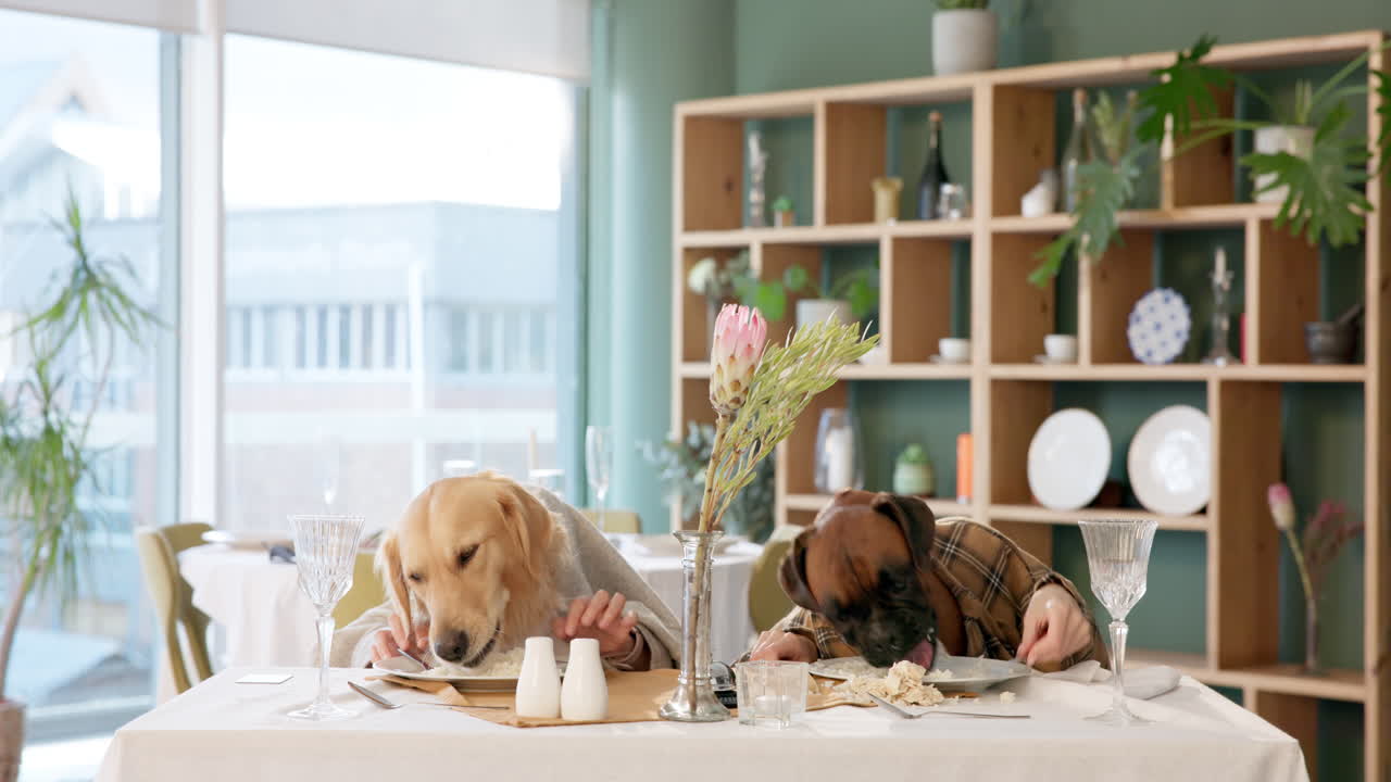 Dogs having dinner in a restaurant