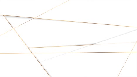 animación de video corporativa gris con líneas de bronce