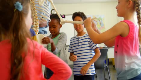niños de escuela multiétnicos arreglando el modelo de esqueleto en el aula en la escuela 4k