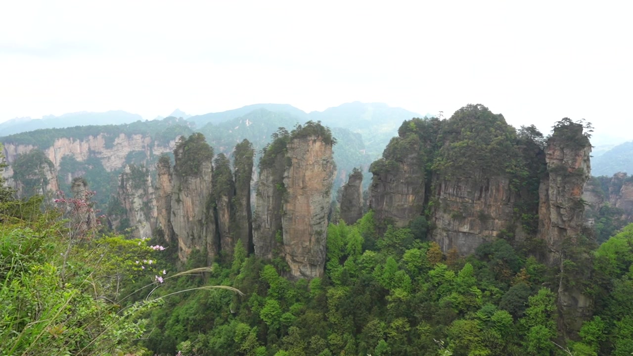 Paesaggio mozzafiato di formazioni verticali di arenaria quarzifera nell'area del villaggio di Huangshi in Cina.