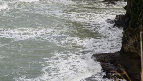 在紐西蘭的muriwai,海鳥在交配季節時,波浪撞擊高暗的懸崖