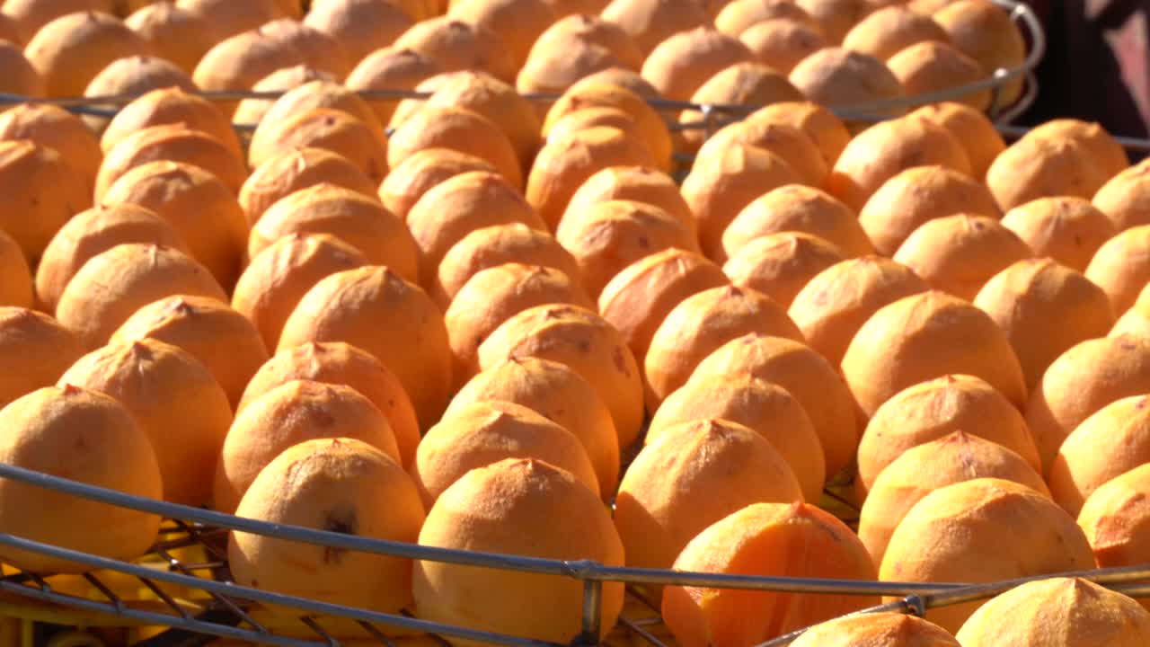 proceso de elaboración de la exposición al sol del caqui seco en un tamiz en otoño.