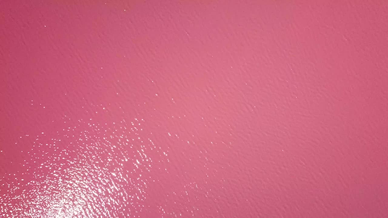 앞으로 나아가는 분홍 조류 호수 물의 수직 아래 공중 샷