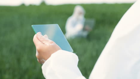 Vista-Trasera-De-Las-Manos-Del-Hombre-Investigador-En-Guantes-Golpeando-El-Vidrio-En-El-Campo-Verde