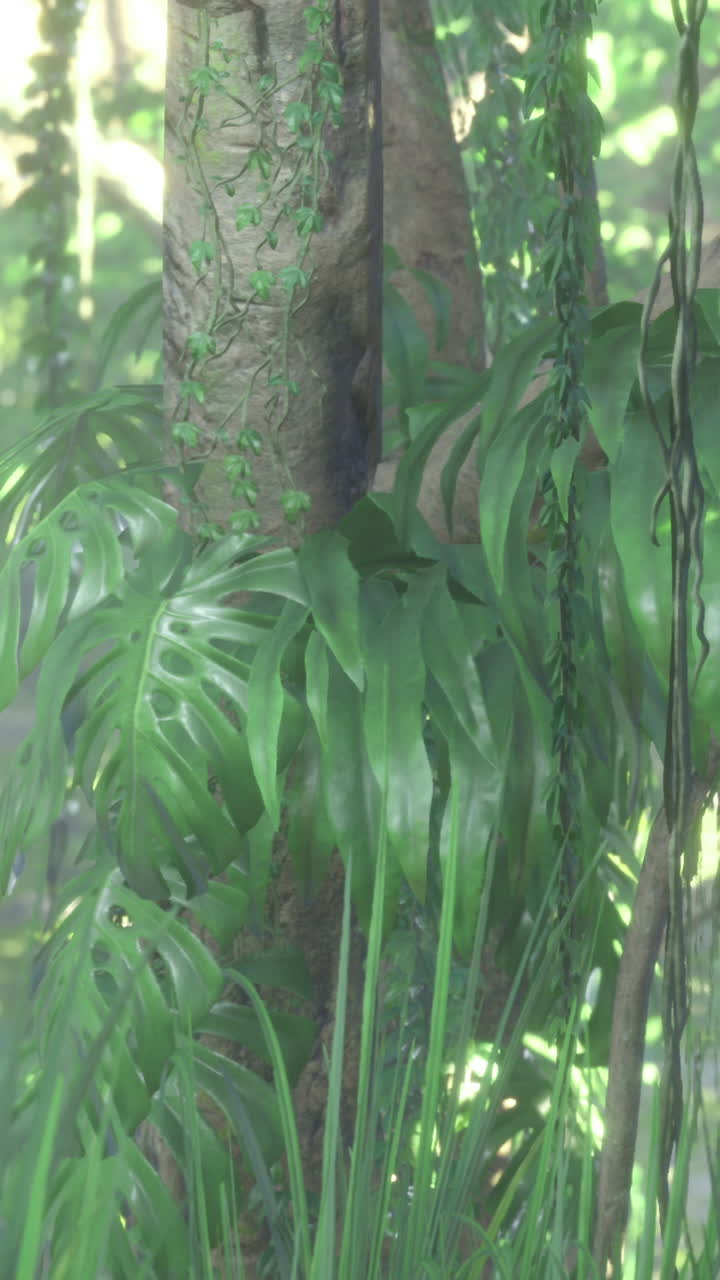 Lush greenery thrives under sunlight in a serene forest setting during midday