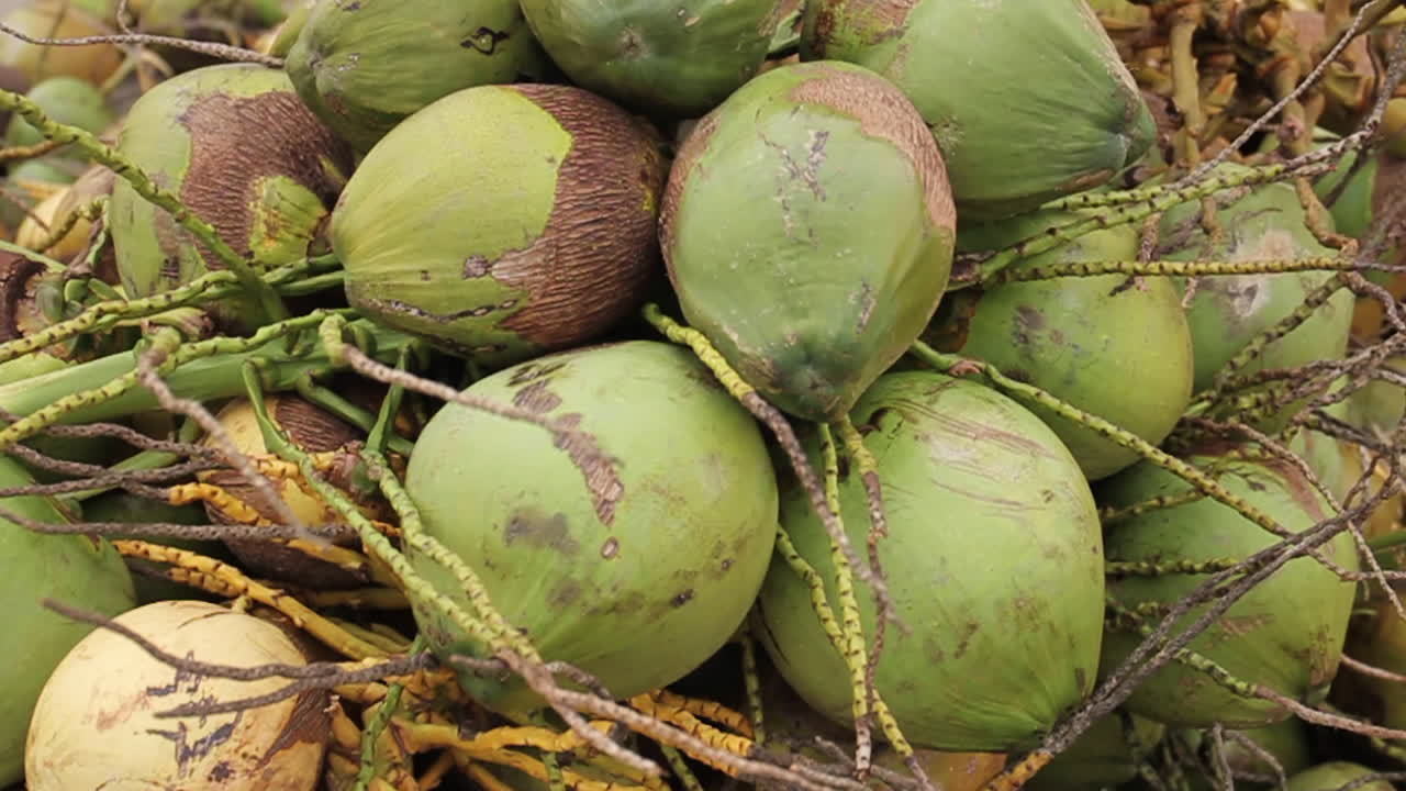 los cocos se venden en un markey en bogota colombia