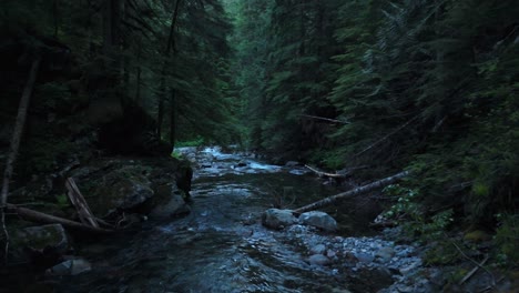 Majestätische-Vorwärtsaufnahme-Eines-Flusses,-Der-Durch-Den-Dunklen,-üppigen-Immergrünen-Wald-Im-Pazifischen-Nordwesten-Fließt