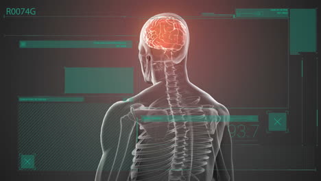 animación del cerebro humano y procesamiento de datos