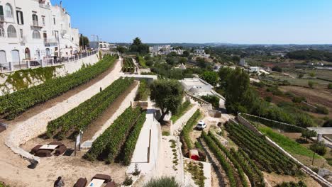 aerial landscape view of locorotondo village houses and terrace vineyard, traditional italian hilltop town, on a sunny day