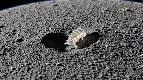 alien creature on a moon surface