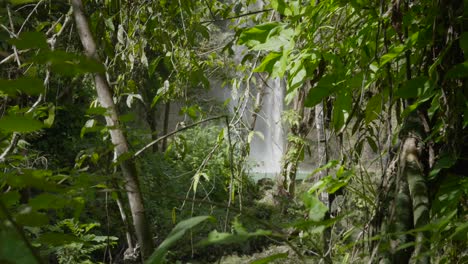 lush greenery framing the serene camugao falls in the philippines, daylight shot