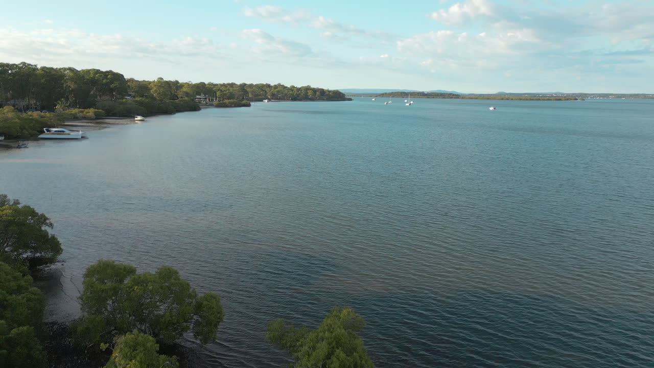 Mangrover vokser langs kystlinjen ved Macleay Island, Brisbane, Australien – droneoptagelse fremad 4K 60 FPS