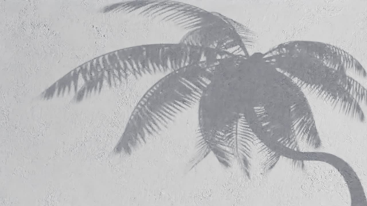 Palm tree shadow on textured white wall. Tropical silhouette concept