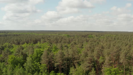 AERIAL:-Slow-flight-forward-towards-Rich-Green-Forest-Tree-Tops-over-Germany-European-Woods-with-Blue-Sky-and-Clouds