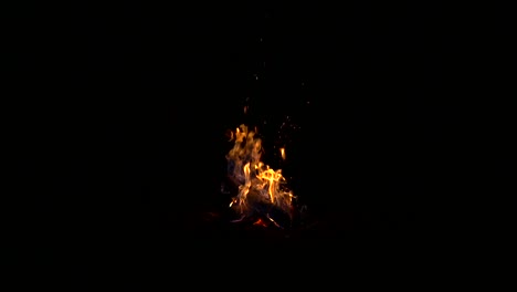 camp fire with sparks and ember in slowmotion at night