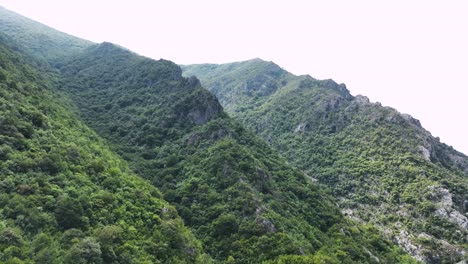 panoramic shot of mountain ridge surrounded by forestry