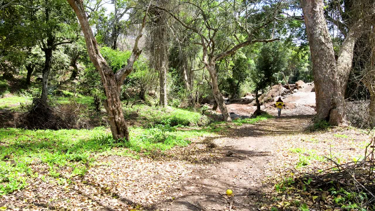 cielo de la aldea al aire libre hermoso paisaje de la aldea del bosque del paisaje aéreo - fotografía aérea del bosque rural kenia - controlador inalámbrico de drones quadcopter