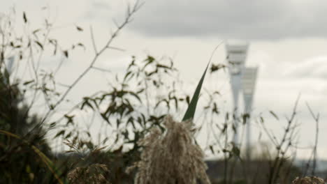 FOCUS-PULL-from-a-river-to-a-sports-stadium-light-towers