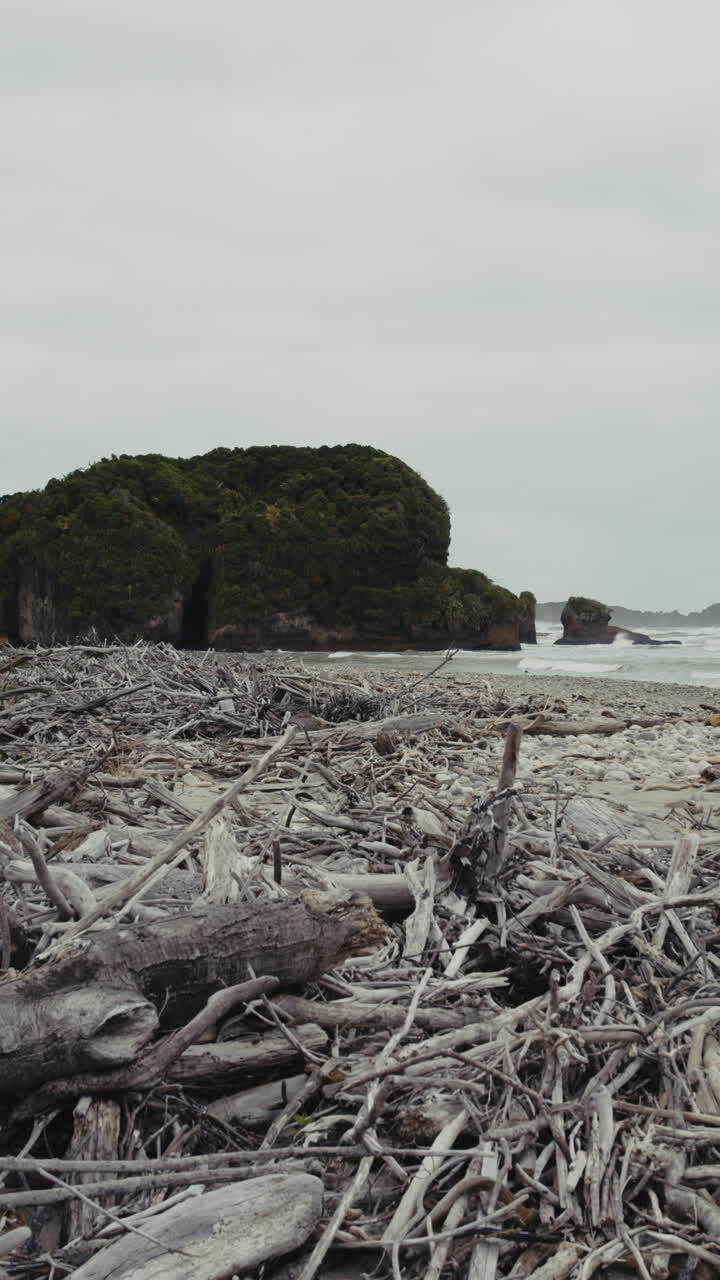 Driftwood-covered beach on a cloudy day