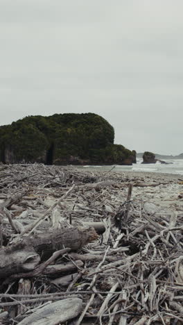 driftwood-covered beach on a cloudy day