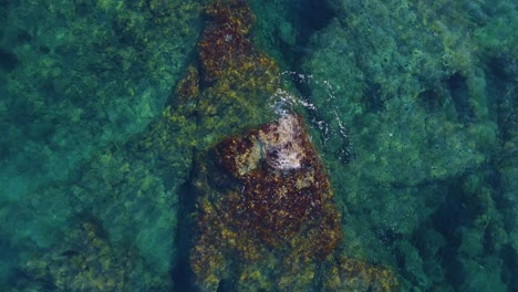 una impresionante vista de un avión no tripulado de una playa tranquila