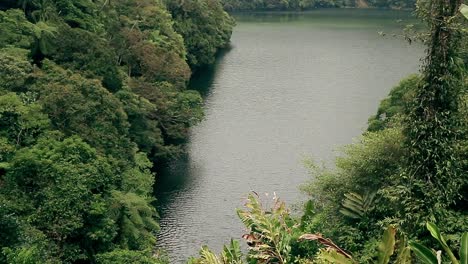 Serene gentle current of Lake Danao surrounded by dense, lush forest showcasing natural beauty of Balinsasayao Twin Lakes National Park in Sibulan, Philippines